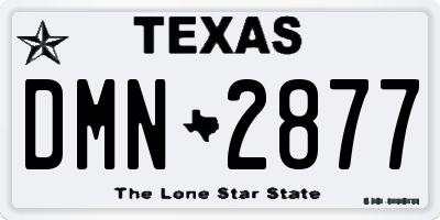 TX license plate DMN2877