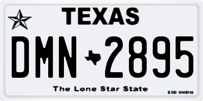 TX license plate DMN2895