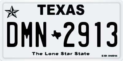TX license plate DMN2913
