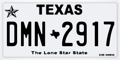 TX license plate DMN2917
