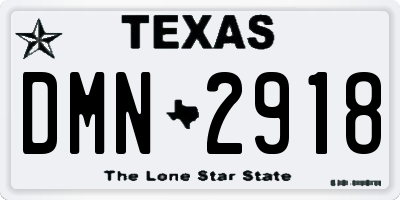 TX license plate DMN2918