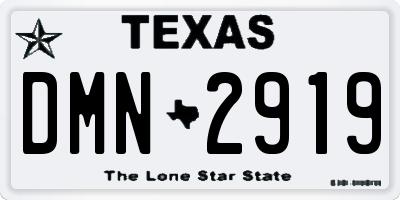 TX license plate DMN2919