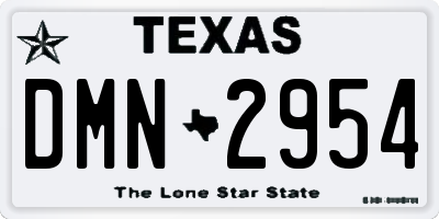 TX license plate DMN2954