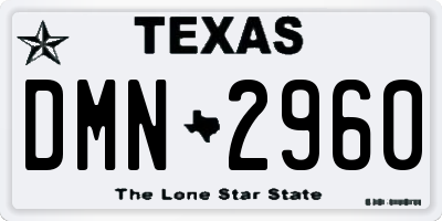 TX license plate DMN2960