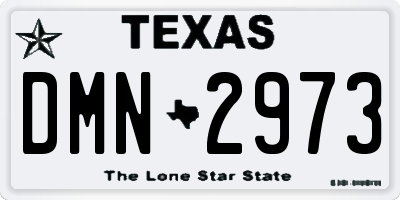 TX license plate DMN2973