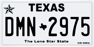 TX license plate DMN2975