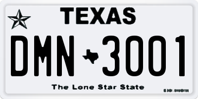 TX license plate DMN3001
