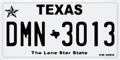 TX license plate DMN3013