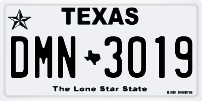 TX license plate DMN3019