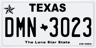 TX license plate DMN3023