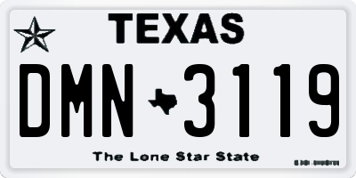 TX license plate DMN3119