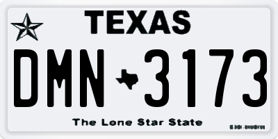 TX license plate DMN3173