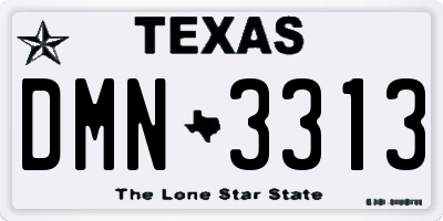 TX license plate DMN3313
