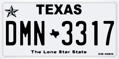 TX license plate DMN3317