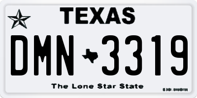 TX license plate DMN3319