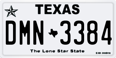 TX license plate DMN3384