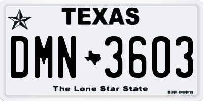 TX license plate DMN3603