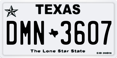 TX license plate DMN3607