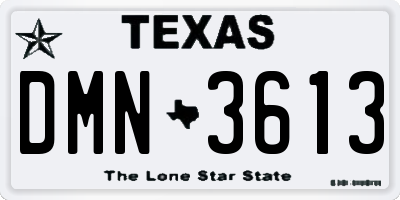 TX license plate DMN3613