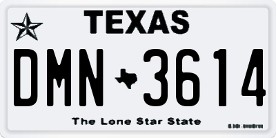 TX license plate DMN3614