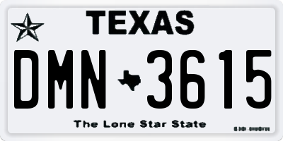 TX license plate DMN3615