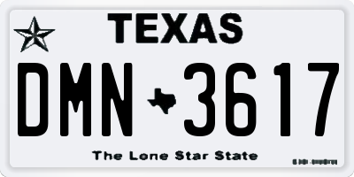 TX license plate DMN3617