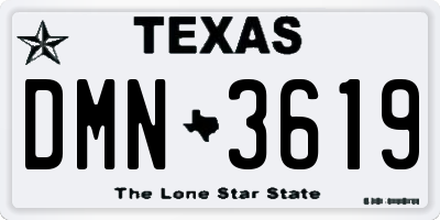 TX license plate DMN3619