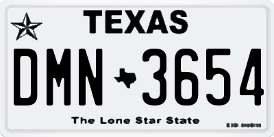 TX license plate DMN3654
