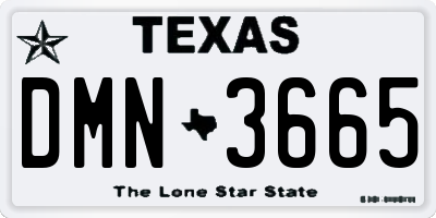 TX license plate DMN3665
