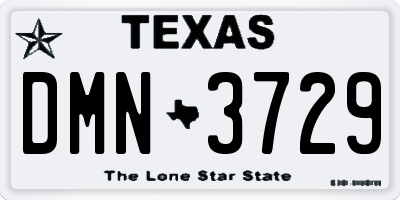 TX license plate DMN3729