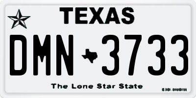 TX license plate DMN3733