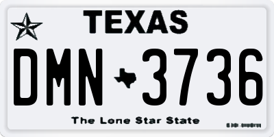 TX license plate DMN3736