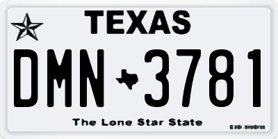 TX license plate DMN3781