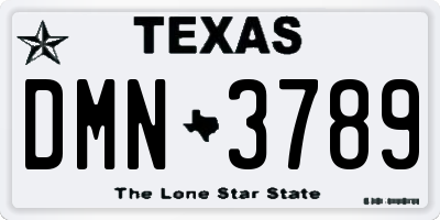TX license plate DMN3789