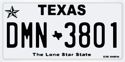 TX license plate DMN3801