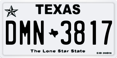 TX license plate DMN3817
