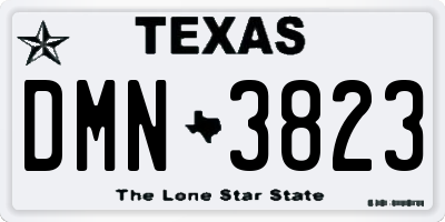 TX license plate DMN3823