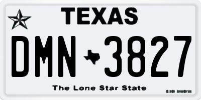 TX license plate DMN3827