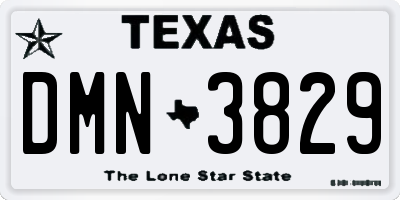 TX license plate DMN3829