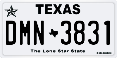 TX license plate DMN3831