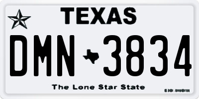 TX license plate DMN3834
