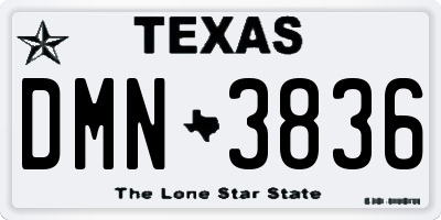 TX license plate DMN3836