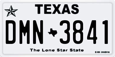 TX license plate DMN3841