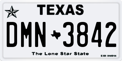 TX license plate DMN3842