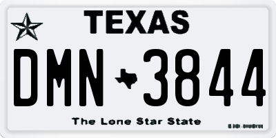 TX license plate DMN3844