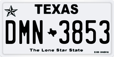 TX license plate DMN3853