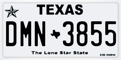 TX license plate DMN3855