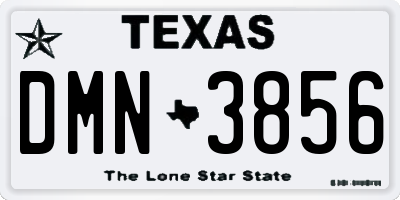 TX license plate DMN3856