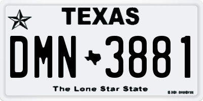 TX license plate DMN3881
