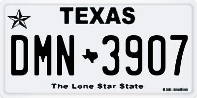 TX license plate DMN3907